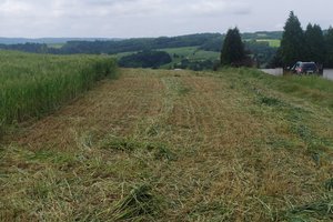 W trakcie realizacji - 074.jpg