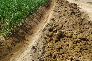 W trakcie realizacji - 094.jpg