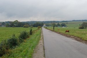 W trakcje realizacji - img-20250930-wa0006.jpg