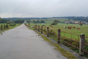 W trakcje realizacji - img-20250930-wa0012.jpg