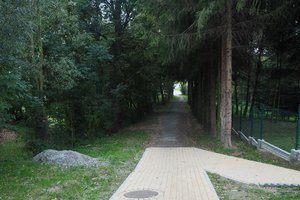 Inwestycja przed realizacją - Alejka - 20180709002.jpg