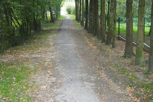 Inwestycja przed realizacją - Alejka - 20180709003.jpg