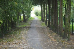 Inwestycja przed realizacją - Alejka - 20180709004.jpg