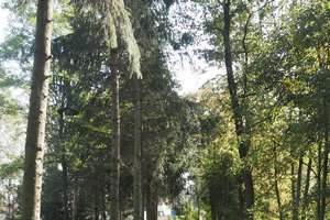 Inwestycja po realizacji - 20182409022.jpg