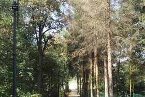 Inwestycja po realizacji - 20182409028.jpg