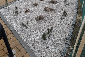 Budowa i wyposażenie integracyjnego placu zabaw i siłowni plenerowej - inwestycja po realizacji - 20171211_0004.jpg