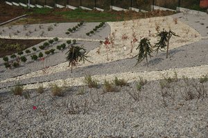 Budowa i wyposażenie ogrodu sensorycznego - inwestycja po zakończeniu realizacji - 20170905_0007.jpg