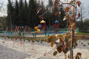 Budowa i wyposażenie ogrodu sensorycznego - inwestycja po zakończeniu realizacji - 20170905_0011.jpg