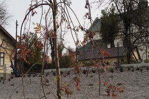 Budowa i wyposażenie ogrodu sensorycznego - inwestycja po zakończeniu realizacji - 20170905_0017.jpg