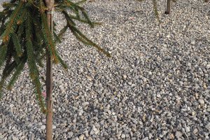 Budowa i wyposażenie ogrodu sensorycznego - inwestycja po zakończeniu realizacji - 20170905_0019.jpg