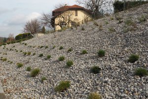 Budowa i wyposażenie ogrodu sensorycznego - inwestycja po zakończeniu realizacji - 20170905_0025.jpg