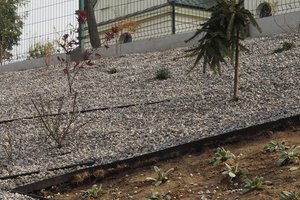 Budowa i wyposażenie ogrodu sensorycznego - inwestycja po zakończeniu realizacji - 20170905_0026.jpg