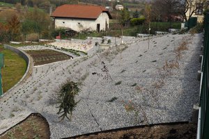 Budowa i wyposażenie ogrodu sensorycznego - inwestycja po zakończeniu realizacji - 20170905_0029.jpg