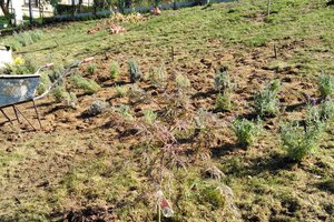 Budowa i wyposażenie ogrodu sensorycznego - inwestycja w trakcie realizacji - 20170910_0002.jpg