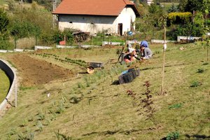 Budowa i wyposażenie ogrodu sensorycznego - inwestycja w trakcie realizacji - 20170910_0008.jpg