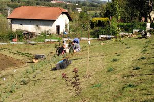 Budowa i wyposażenie ogrodu sensorycznego - inwestycja w trakcie realizacji - 20170910_0009.jpg