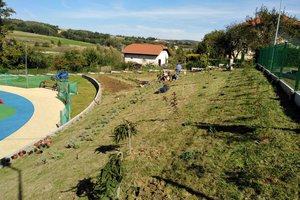 Budowa i wyposażenie ogrodu sensorycznego - inwestycja w trakcie realizacji - 20170910_0010.jpg