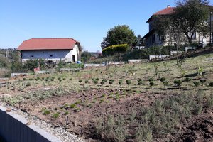 Budowa i wyposażenie ogrodu sensorycznego - inwestycja w trakcie realizacji - 20170929_0001.jpg