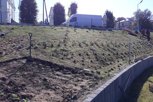 Budowa i wyposażenie ogrodu sensorycznego - inwestycja w trakcie realizacji - 20170929_0002.jpg