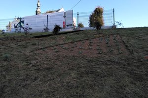 Budowa i wyposażenie ogrodu sensorycznego - inwestycja w trakcie realizacji - 20170929_0006.jpg