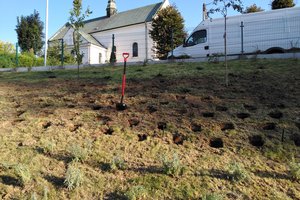 Budowa i wyposażenie ogrodu sensorycznego - inwestycja w trakcie realizacji - 20170929_0007.jpg