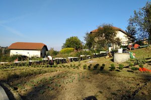 Budowa i wyposażenie ogrodu sensorycznego - inwestycja w trakcie realizacji - 20170929_0009.jpg