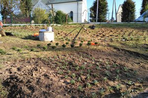 Budowa i wyposażenie ogrodu sensorycznego - inwestycja w trakcie realizacji - 20170929_0010.jpg