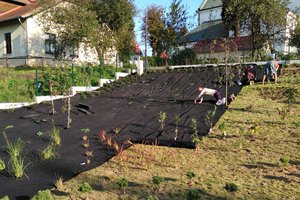 Budowa i wyposażenie ogrodu sensorycznego - inwestycja w trakcie realizacji - 20170929_0011.jpg