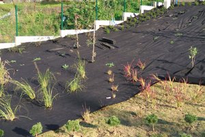 Budowa i wyposażenie ogrodu sensorycznego - inwestycja w trakcie realizacji - 20170929_0012.jpg