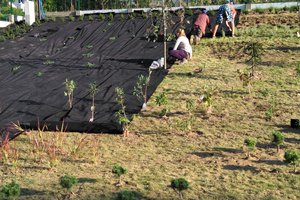 Budowa i wyposażenie ogrodu sensorycznego - inwestycja w trakcie realizacji - 20170929_0014.jpg