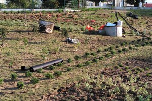 Budowa i wyposażenie ogrodu sensorycznego - inwestycja w trakcie realizacji - 20170929_0015.jpg