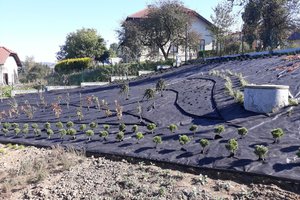 Budowa i wyposażenie ogrodu sensorycznego - inwestycja w trakcie realizacji - 20171004_0001.jpg