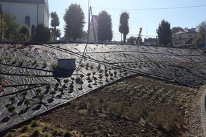 Budowa i wyposażenie ogrodu sensorycznego - inwestycja w trakcie realizacji - 20171004_0002.jpg