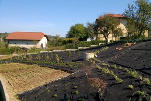 Budowa i wyposażenie ogrodu sensorycznego - inwestycja w trakcie realizacji - 20171004_0007.jpg