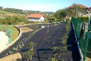 Budowa i wyposażenie ogrodu sensorycznego - inwestycja w trakcie realizacji - 20171004_0008.jpg