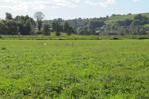 Przed Realizacją - 20170915_0001.jpg