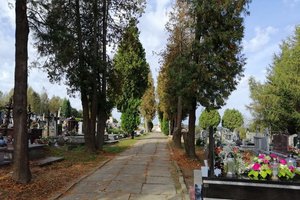 Inwestycja przed realizcją - 1002.jpg