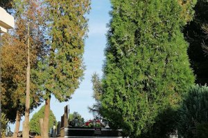 Inwestycja przed realizcją - 1005.jpg