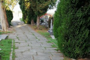 Inwestycja przed realizcją - 1007.jpg