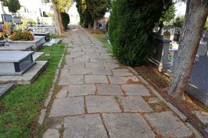 Inwestycja przed realizcją - 1010.jpg