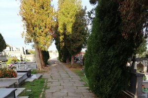 Inwestycja przed realizcją - 1011.jpg