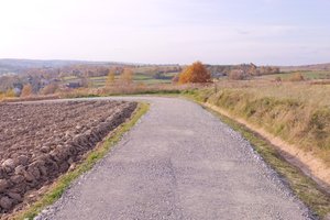 Droga do p. Bykowskich - img_20211027_145210_9dfPhdE.jpg