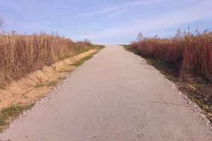 Droga do p. Bykowskich - img_20211027_145330_wjTuBGw.jpg