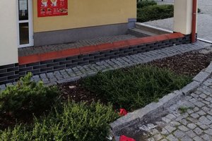 Przed realizacją - 1001.jpg