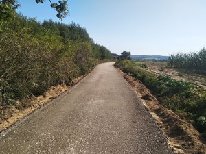 Modernizacja drogi dojazdowej do gruntów rolnych Fogry Brzeziny na Dziok Kalander