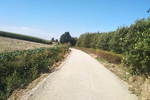 W trakcie realizacji - 120736517_656308618624129_2757161332720446680_n.jpg