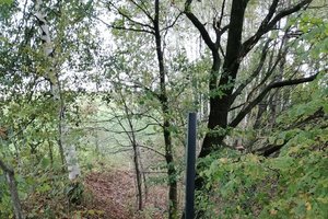 Inwestycja w trakcie realizacji - 3003.jpg