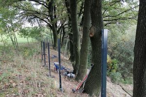 Inwestycja w trakcie realizacji - 3005.jpg