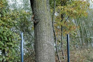 Inwestycja w trakcie realizacji - 3009.jpg