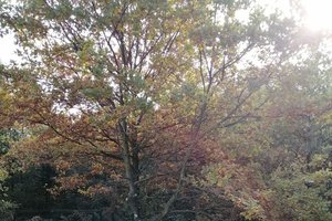 Inwestycja po realizacji - 4020.jpg